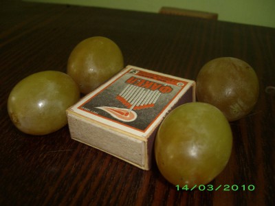 IMGP0001.JPG
