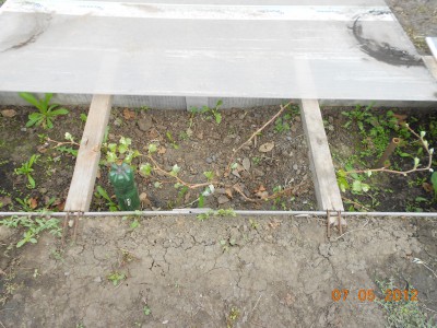 DSCN0194.JPG