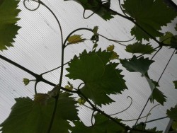 20150713_144851.jpg
