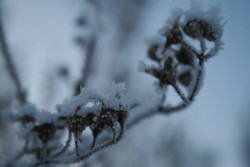 IMG_7834.JPG