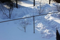 IMG_6708.JPG