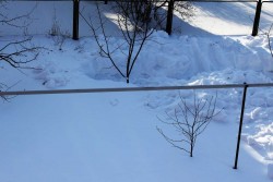 IMG_6710.JPG