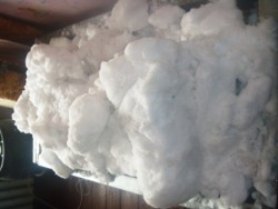 снег на чубуках.JPG