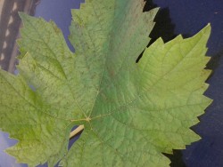 20160708_193437.jpg